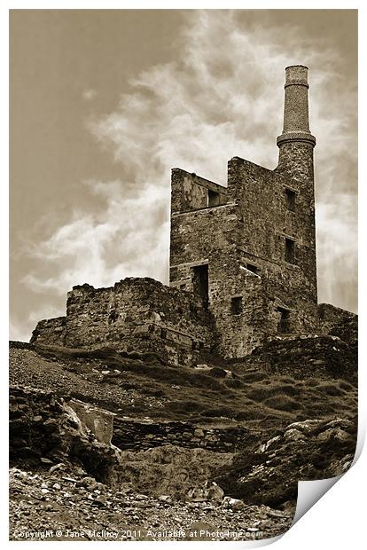 Old Copper Mine, West Cork Print by Jane McIlroy