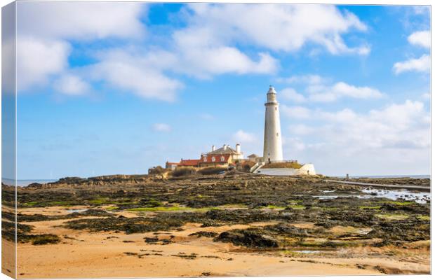 St Marys Lighthouse Canvas Print by Steve Smith