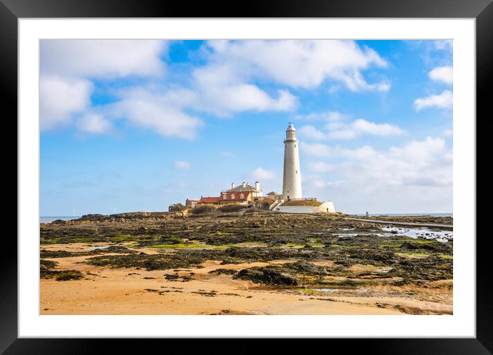 St Marys Lighthouse Framed Mounted Print by Steve Smith