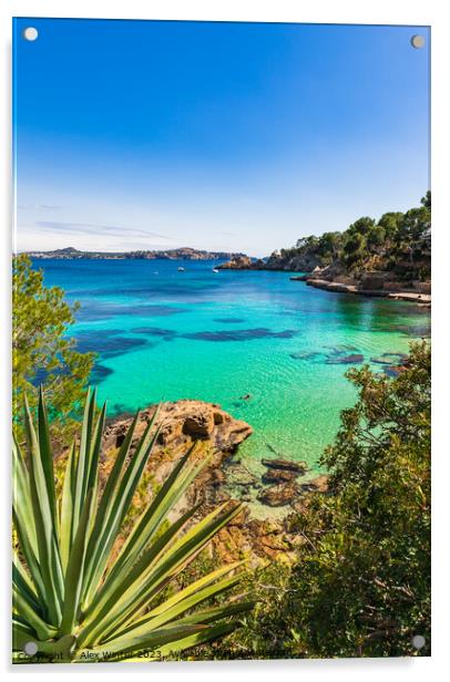 Cala Fornells, Mallorca island Spain Acrylic by Alex Winter