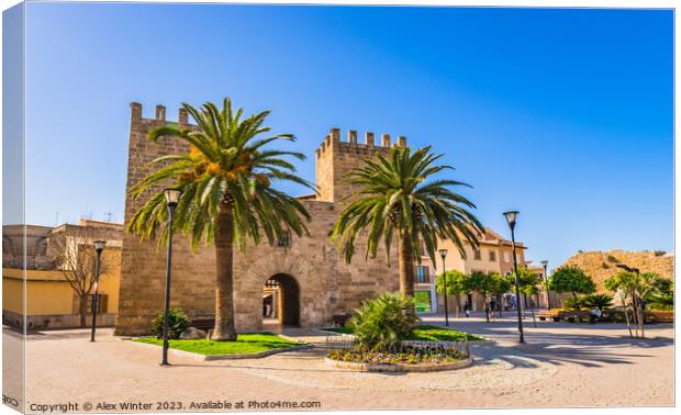 Porta del Moll in Alcudia Canvas Print by Alex Winter