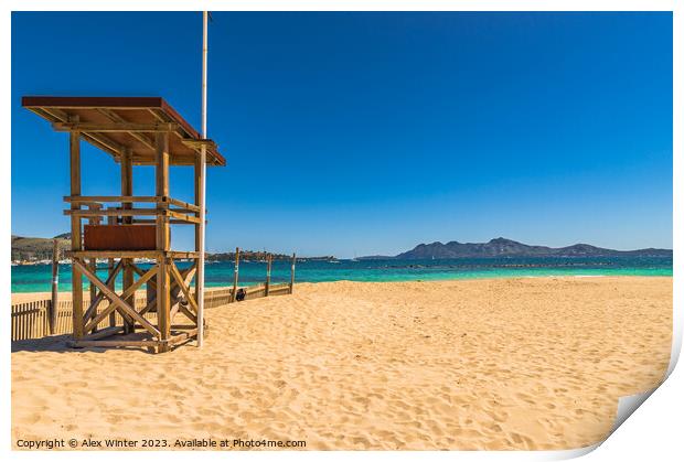 Pollenca beach Print by Alex Winter