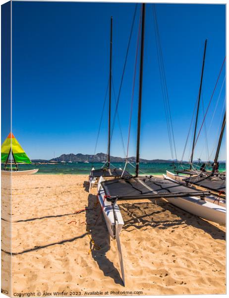 View of catamaran sailing boat at coast of sand be Canvas Print by Alex Winter