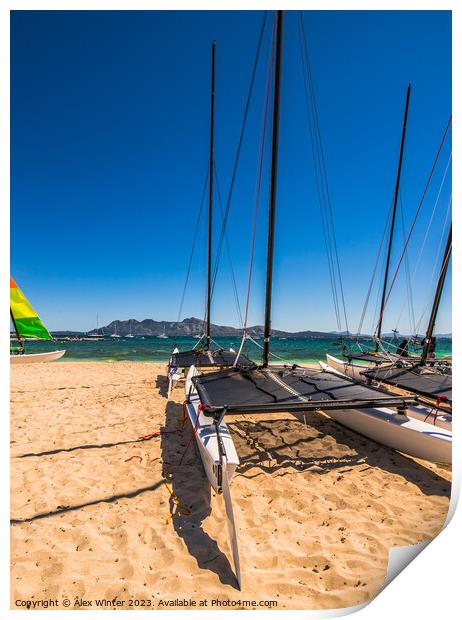 View of catamaran sailing boat at coast of sand be Print by Alex Winter