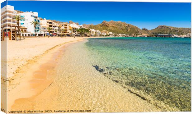 Beautiful sand beach at bay of Pollenca pollensa Canvas Print by Alex Winter