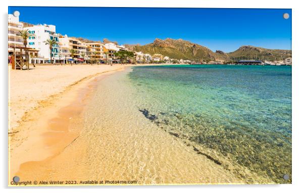 Beautiful sand beach at bay of Pollenca pollensa Acrylic by Alex Winter