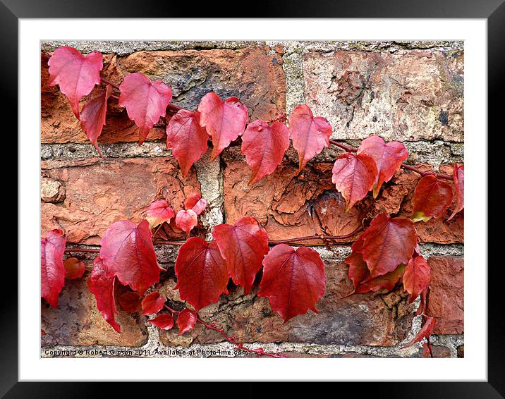 Autumn Creeping On Framed Mounted Print by Robert Gipson