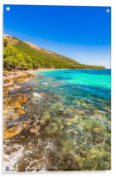 View of bay beach of Platja de Formentor Acrylic by Alex Winter