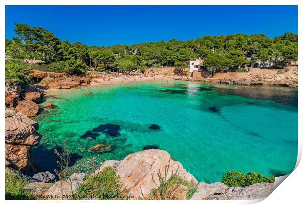 Cala Gat in Cala Ratjada Print by Alex Winter