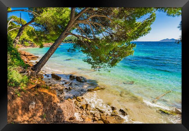 Platja de Formentor, idyllic seaside on Mallorca Framed Print by Alex Winter