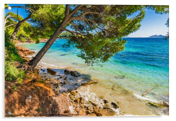 Platja de Formentor, idyllic seaside on Mallorca Acrylic by Alex Winter