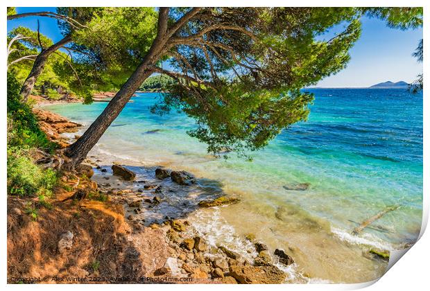 Platja de Formentor, idyllic seaside on Mallorca Print by Alex Winter
