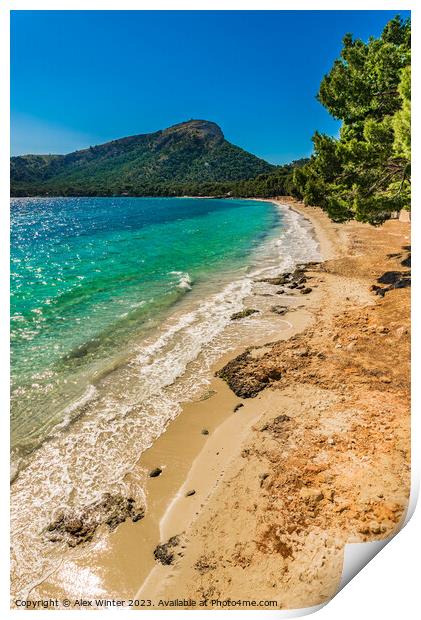 Platja de Formentor Print by Alex Winter