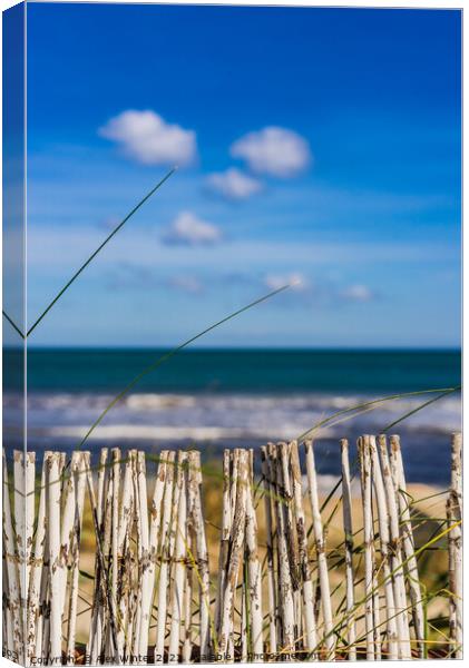 Tranquil ocean view Canvas Print by Alex Winter