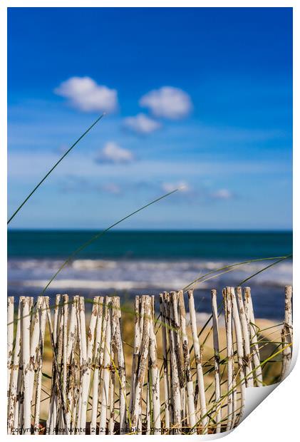 Tranquil ocean view Print by Alex Winter