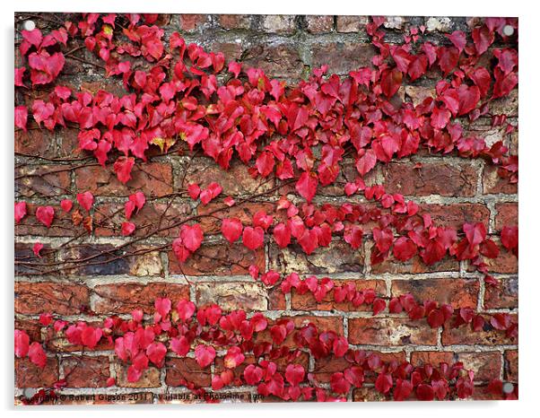 Autumn creeps along the wall Acrylic by Robert Gipson