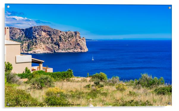 Coast of Majorca island Acrylic by Alex Winter