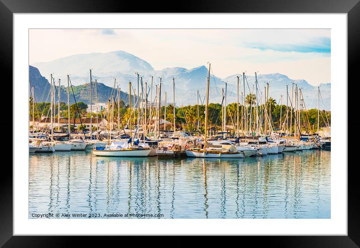 View at the marina of Port de Pollensa on Mallorca Framed Mounted Print by Alex Winter