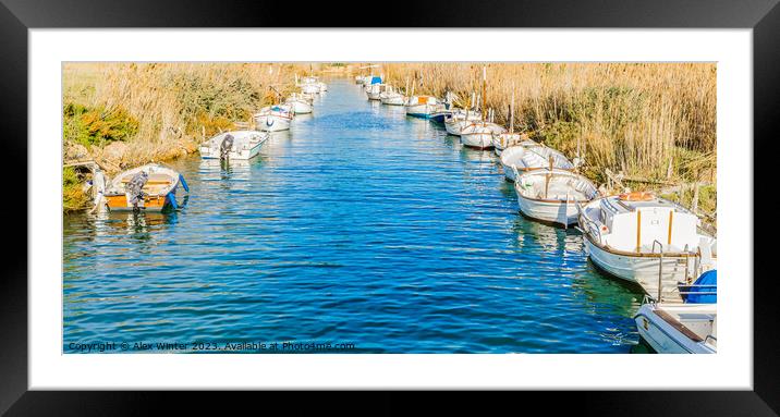 anchored fishing boats Framed Mounted Print by Alex Winter