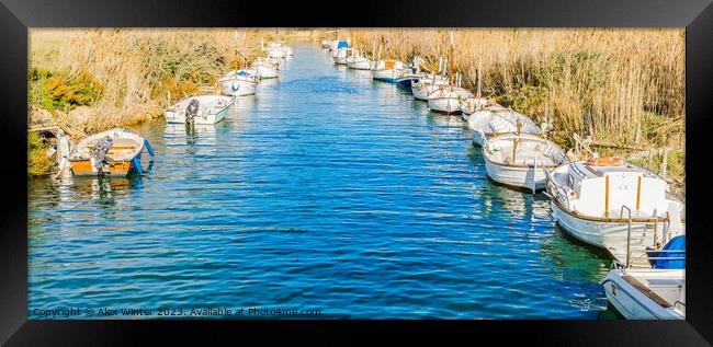 anchored fishing boats Framed Print by Alex Winter