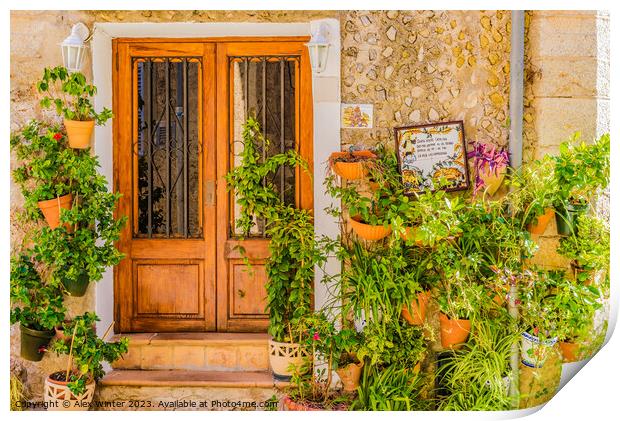 Typical potted plants village of Valldemossa Print by Alex Winter