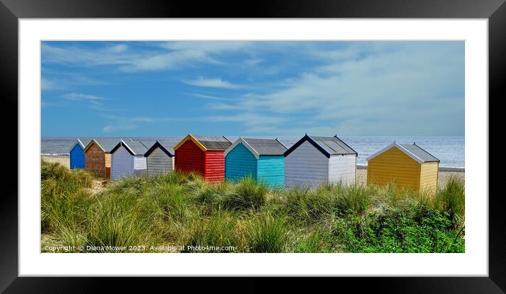 Southwold beach huts on the Dunes Framed Mounted Print by Diana Mower