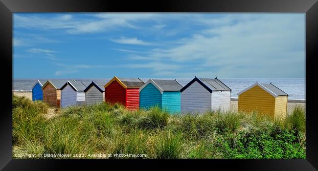 Southwold beach huts on the Dunes Framed Print by Diana Mower