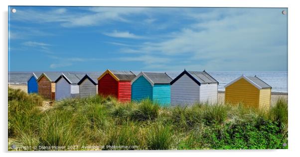 Southwold beach huts on the Dunes Acrylic by Diana Mower
