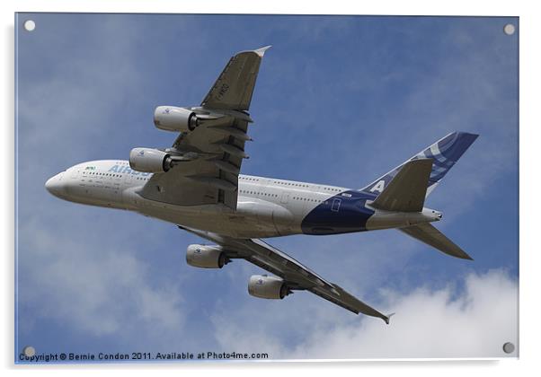 A380 Airbus Acrylic by Bernie Condon