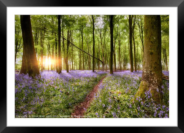 Path through bluebell woodland at sunrise Framed Mounted Print by Simon Bratt LRPS