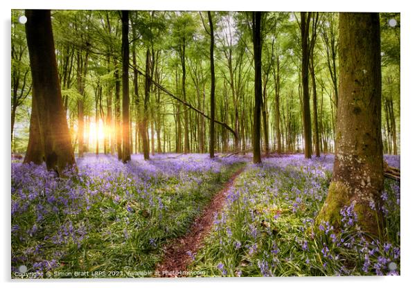 Path through bluebell woodland at sunrise Acrylic by Simon Bratt LRPS