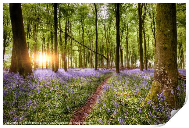 Path through bluebell woodland at sunrise Print by Simon Bratt LRPS
