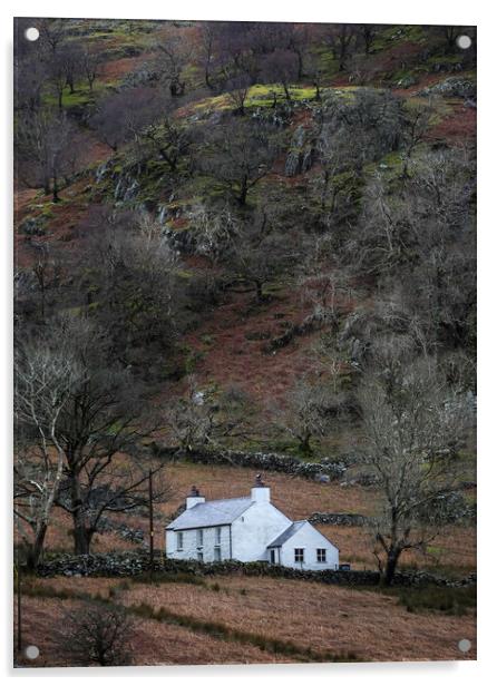 A house in the hills Acrylic by Leighton Collins