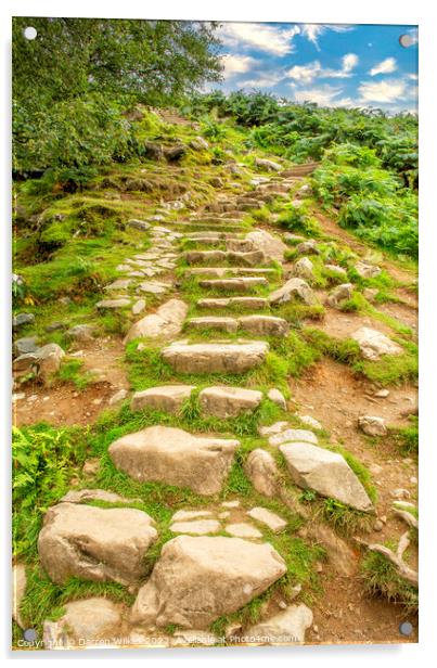 Aber Falls Steps - Snowdonia - Wales Acrylic by Darren Wilkes