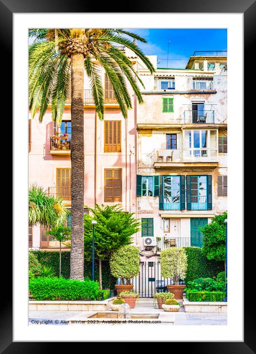 View of Palma de Majorca old town Framed Mounted Print by Alex Winter