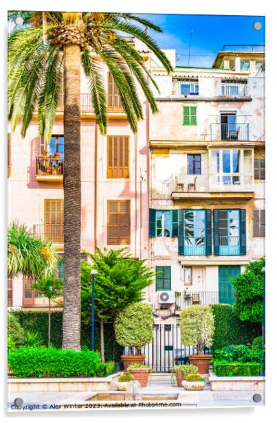 View of Palma de Majorca old town Acrylic by Alex Winter