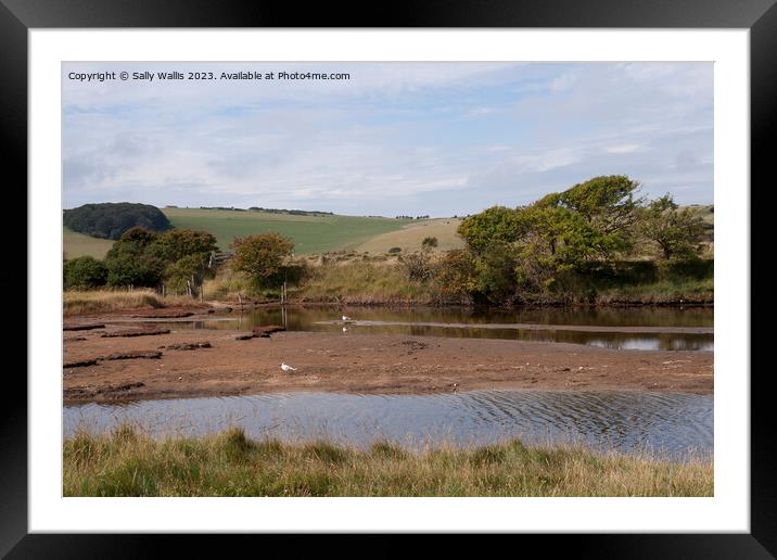 Cuckmere River low tide Framed Mounted Print by Sally Wallis