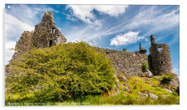 Kilchurn Castle Wide Angle View Acrylic by Antony McAulay