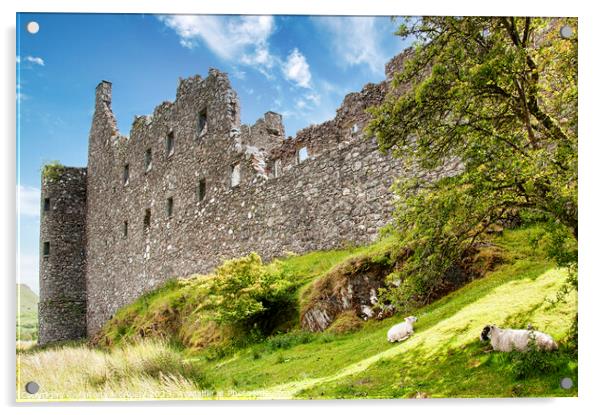 Kilchurn Castle with Sheep Acrylic by Antony McAulay