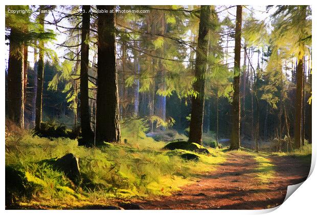 Light in Forest Print by Taina Sohlman
