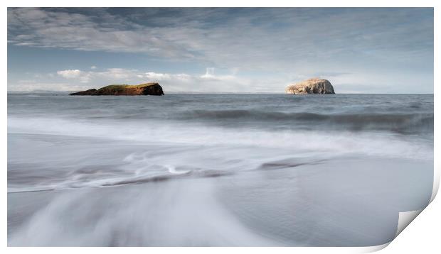 Surf on Seacliff Beach  Print by Anthony McGeever