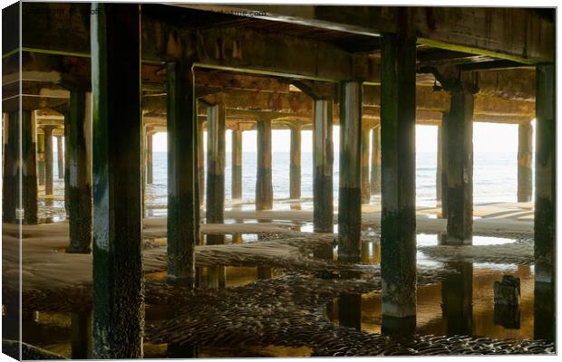 Reflections under the pier Canvas Print by Geoff Taylor