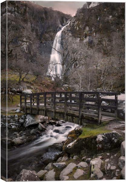 The bridge at Aber Falls Canvas Print by Leighton Collins