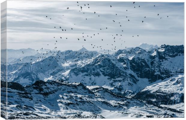 From the top of the Alps Canvas Print by Maria Mazzillo