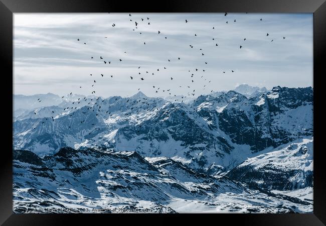 From the top of the Alps Framed Print by Maria Mazzillo