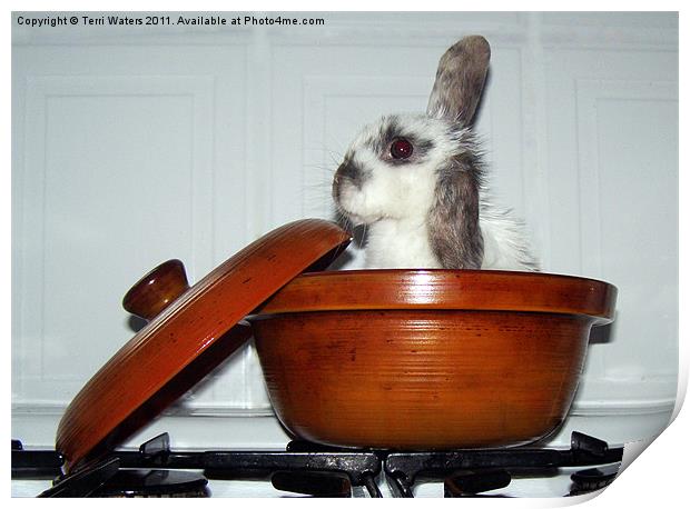 Whats for dinner ? Print by Terri Waters