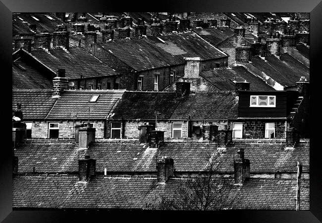 Halifax Roofs - Mono Framed Print by Glen Allen
