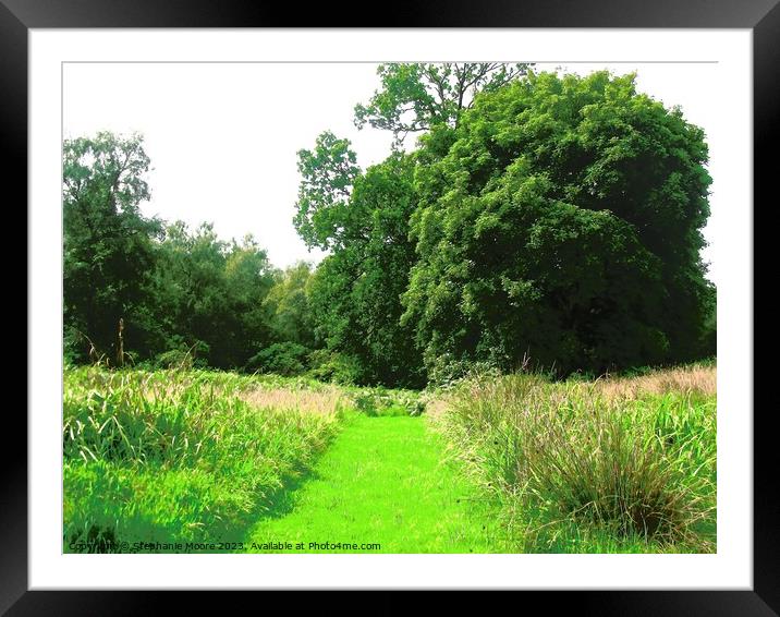 Green path Framed Mounted Print by Stephanie Moore