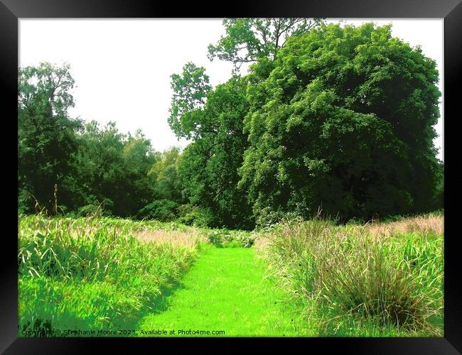 Green path Framed Print by Stephanie Moore