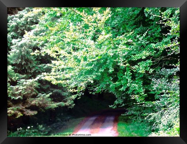 Shady lane Framed Print by Stephanie Moore